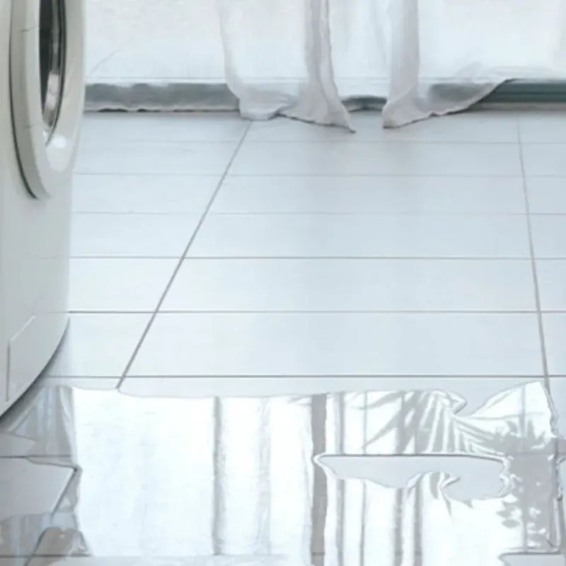 Appliance Leak Cleanup in Saint Cloud, MN